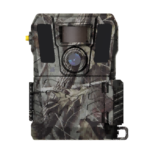 Trail Camera